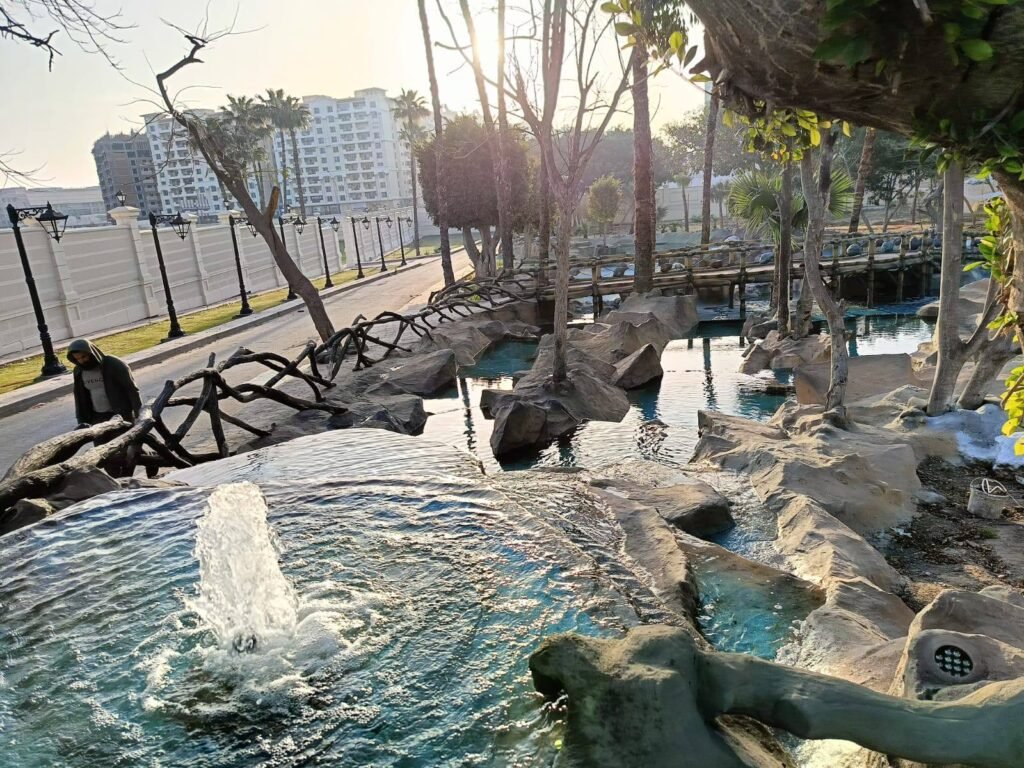 492397481_2232473270510853_5894142884859263266_n