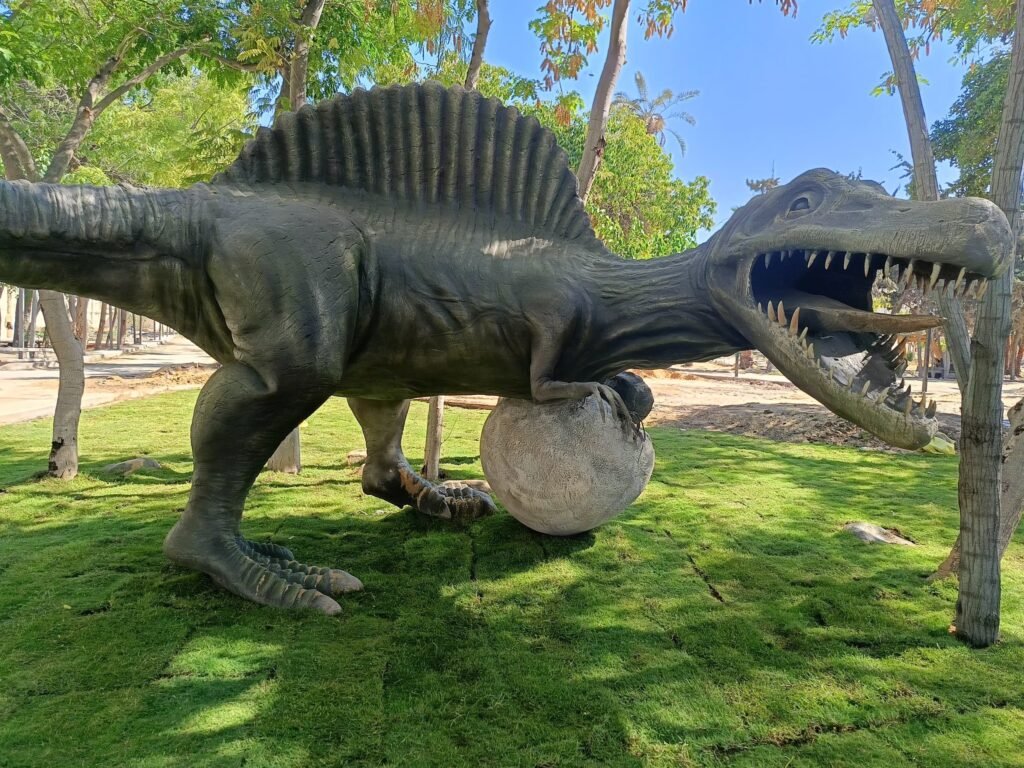 508382424_2286637795094400_5788991457846163984_n